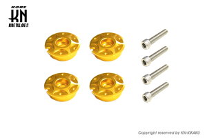 KN KN-FBCY-GD A~tA{[hJ[ S[h VOiX BW'S }WFXeBS SMAX }nn