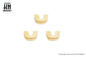 KN SSP01-S XYLn XChs[X AhXV100