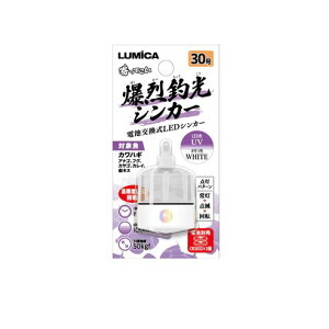 ~J ތVJ[ 30 16×79mm zCgUV  I  W PxLED dC ނ ދ  tBbVO LUMICA