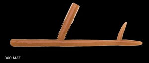 m[Y TJNeB[T 360/M3Z 5C`/130mm 7 A[ [ ^a oX ދ ނ tBbVO