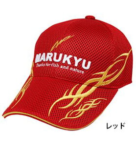 }L[ gCobVLbv01 bh M/54`58cm Xq  ދ  tBbVO