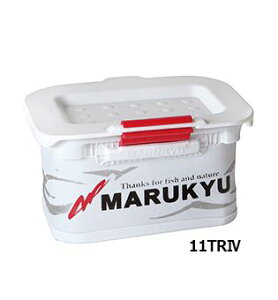 }L[ p[GToPbgTR4 11TR4 zCg 11(W)×6.5(D)×6(H)cm a GT P[X obJ ނpi ދ  tBbVO }L[