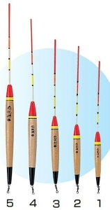 NPKiJW} 545 eEL 2 270mm ނ tBbVO  ދ