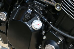 PMC s[GV[ 79-8032 GWT[Q[W Vo[ M20 Z900RS