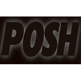 POSH Faith ポッシュフェイス 010202-06 8mm カラーウィンカーステー(BLACK) (ロングボルト)