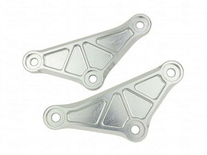 POSH Faith |bVtFCX 132088-03 ATXNv[g Vo[ Z900RS