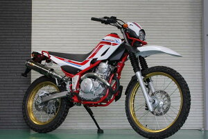 ACY 518-SO-003-01 ARIA AA XeX }t[ ^CvC(J[Gh) Z[250 2BK-DG31J oCN