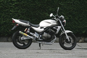 RPM 1663-01 tGL][Xg }t[ RPM-67Racing A~ 67×300 oIX2^ s Nii [VO oCN ֎ A[s[G
