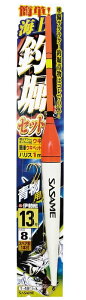 TT T491 CނxZbg p 13-8 1Zbg{XyAb1{ Cޖx d| ދ ނ 