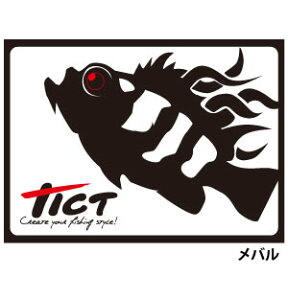 TICT eBNg tBbVOtBbNXebJ[ o W7.5×H10cm 1 V[ N[[{bNX ^bNP[X  ANZT[ JX^ Cނ ދ