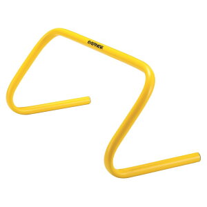 Goj[ Evernew tbNXn[h20i5gj