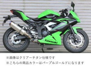 BEET 0228-KD2-PG N-Evo2 SO Ti/PG Nin250SL