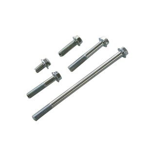 CF�|�b�V�� 820855-060 �z���_�����^�C�v �t�����W�Z�p�{���g M6X60 ���p5PCS