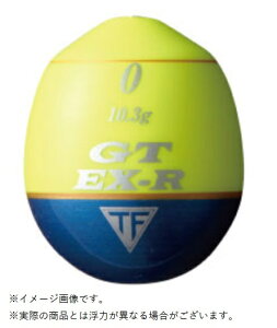 ތ 368518 GT EX-R CG[ 00 ʂEL `k N_C ǂ񂮂   d|EL   ނ C