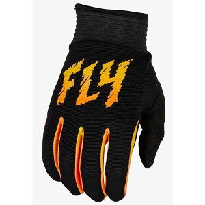 FLY 377-211YM 24 F-16 MXO[u ubN/CG[/IW M LbY oCN q  Xgb`