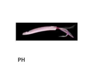 }V^ 447-668 T[t|p2 40mm PH A[ ^a d| p[c Cނ ދ  tBbVO }A