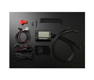 V 419-P02-0100 vOX2 PRO-GRESS2 }`ev[^[ x d v