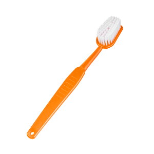 uV^ԃuV {fBuV BodyBrush jumbo oXpi   傫uV ʔ  G v[g