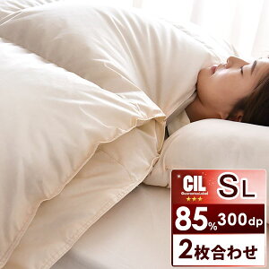 2킹 I[V[Y { Hѕzc CILbhx zCg _E 85% 300dp 120mmȏ L R VO 
