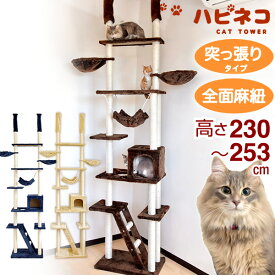 楽天市場 キャットタワー スリム ペット ペットグッズ の通販