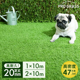 【122H限定!10%引クーポン】 法人価格有 リアル 人工芝 芝丈 20mm 2m×10m 1m×10m 業務用 超高密度47万本/m2 高耐久 ロール 高密度 芝 人工芝生 10m 1m 2m U字 ピン 人口芝 芝生 庭 ガーデン ベランダ diy リアル マット ペット 【2*10mのみ超大型/後払/時間指定NG】