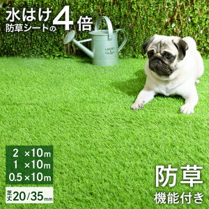 VāI͂4{ h@\t lH ŏ20mm ŏ35mm 0.5m×10m 1m×10m 2m×10m 50{/m2 [ hV[g ̌^ lHŐ   h x_ l diy h s }bg ybg y2*10m̂