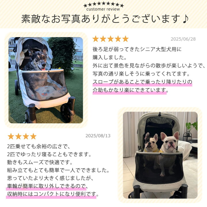 楽天市場】【本日クーポン5%引】 楽天1位 シニア犬も安心 スロープ 