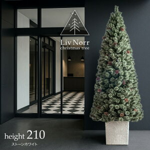 【30日0時~クーポン5%引】 RENEW ヌードツリー Liv Norr 石目調 ポット付き 120cm 150cm 180cm 210cm 松ぼっくり付 ヌード ツリー リアル クリスマスツリー クリスマス 120 150 180 210 松ぼっくり スリム 大