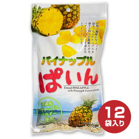 【楽天スーパーSALE割引 20％OFF】香りと旨みを凝縮させた沖縄県産パインパウダー使用　パイナップルぱいん 95g×12袋セット