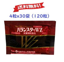 楽天市場】バランスターwz480粒の通販
