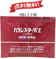 楽天市場】バランスターwz 480の通販