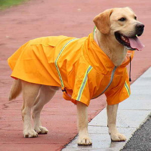  CR[g ^ Jbp J hbOEFA ybg  h[x} S[fgo[ uh[ |` nXL[ h IW u[ sN ϋvQŉKȒSn