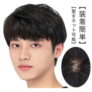 V[g l100 Y tEBbO Rȍ  tFU[V[g X^_[hubN i`  B ×p  jp  YEBbO jp 