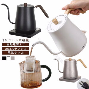 dCPg 1L 1bg e dIt 304XeX  Pg dC|bg ׌ ^ XeX  Lb`Ɠd 󕰂h~ O[XlbNPg R[q[Pg hbv