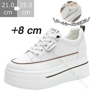 Xj[J[ 8cm 6cmq[ gAbv fB[X yʃU[ bV [Jbg Cq[ EH[LOV[Y tbgV[Y C RtH[g ɂʋC 