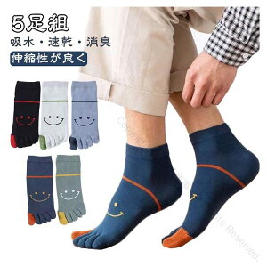 C Y 5g ΍ 5{wC Y\bNX z R LH  ʋC jp Ɨp X|[c oR amp ܖ{w\bNX 5{w\bNX   25-27cm Kϋvdl