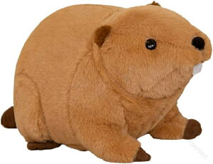 r[o[ ʂ CK D Ał킢 wĂɍœK Sn悢 傫 ܂ G u v[g YQ 蕨 uE TCY NX}X 邨