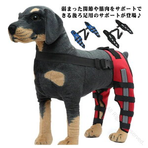  EZbg Œ yA 㑫֐ߕی T|[^[ G p 둫 ֐߃veN^[ p G֐߃T|[g ֐ߕیObY Jy 萫 ybgPApi