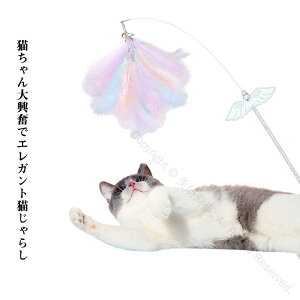 L炵 킢 Lpi ˂炵 Lp H  ނƃ^Cv Lpi ybgpi L 얞h~ XgX ^s RpNg LL ̉H ŏv 