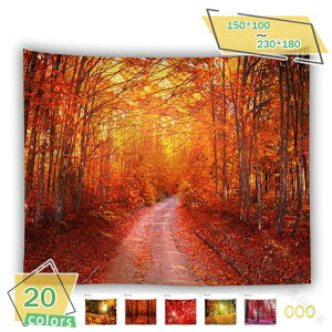 H̕igt݂zǂ̑J[e@\z唻CeAA[g|X^[BeprfIcwiؘRHFǊ|ʐ^ƎX͗lւrO[