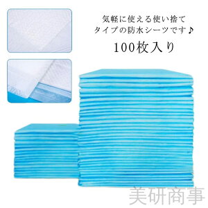 ˂΍ hV[c 100 pV[c ĝăpbh zcph zV[g ARh~ 唻TCY h~ Qی ֗Ȉꖇ K pi