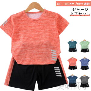 W[W㉺Zbg  LbYp z X|[cEFA jOEFA j̎q ̎q g[jOEFA WjA 90cm`150cm tp TVc V[gpc KfނŌyʐ݌v 