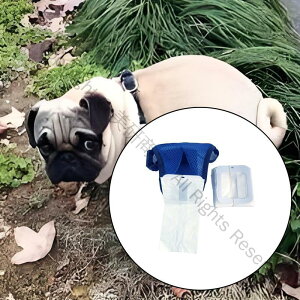 VjApKp񂿁ErWpcȔrWobO10tpqpiybgPApirT|[gpi