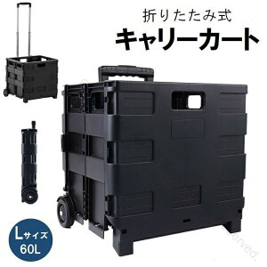 L[J[g  LTCY 60L ܂肽 Rei^ ^ WȂ y RpNg AEghA Lv  VbsO X|[c W[ sp[