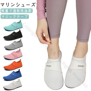 EH[^[V[Y Y fB[X }V[Y }WbNe[v S p V[Y C l r[`V[Y }X|[c ɂ C   ނ  W[  A