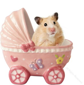 nX^[ p xbh 퐻 nX^[̃nEX B  ėp  dl ``Ή u[TCY16×11.8×15.3cm K