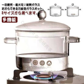 ガラス鍋 調理器具 ガラス調理鍋 両手なべ 多機能鍋 家庭用 直火対応 ガラス蓋付き スープ鍋 透明 スープポット ミルクパン 卓上鍋 ガラスポット 透明調理鍋 離乳食大容量 ガラス製なべ クリア 耐熱 キッチン雑貨