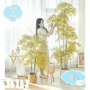 lHϗtA ^ RŃA  tFCNO[ ^ CeA  O tFCNA sv ͂Ȃ ~͐A tFCNO[ rO _CjO Q  C