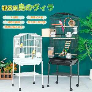 P[W o[hP[W    P[W o[hpX ~܂ GT4 p  ȒP CRP[W IEP[W KP[W IJCRP