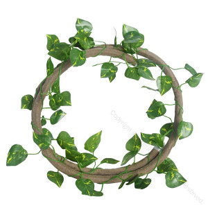 ঒ޓoR} lH঒ނ ঒ސn̑ eȆ pAu` gJQ̃NC~O pi ق̑plHA